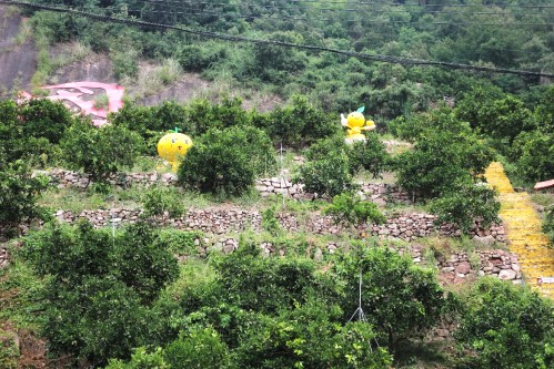 ��h�|���W(xu��)Ժ��С�ȹ��¡����`ꠣ�̽��߸Ϫ�����w���ں��I(y��)�B(t��i)�������L�����B(t��i)�����°l(f��)չ