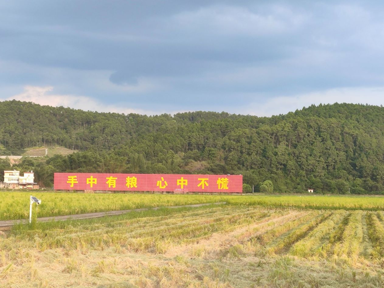 �ǻ��r(n��ng)�I(y��)�r(sh��)�����Ƽ��x�r(n��ng)��(chu��ng)δ��