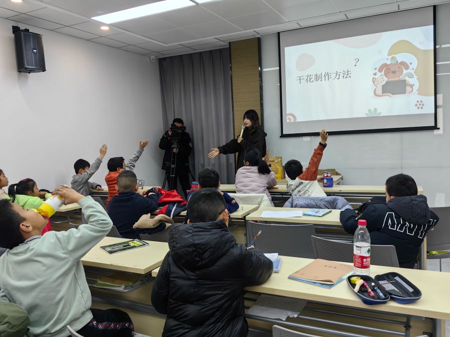 ��^(q��)��Ă��y(t��ng)�Ļ��n�ã���W(xu��)�����������������z����