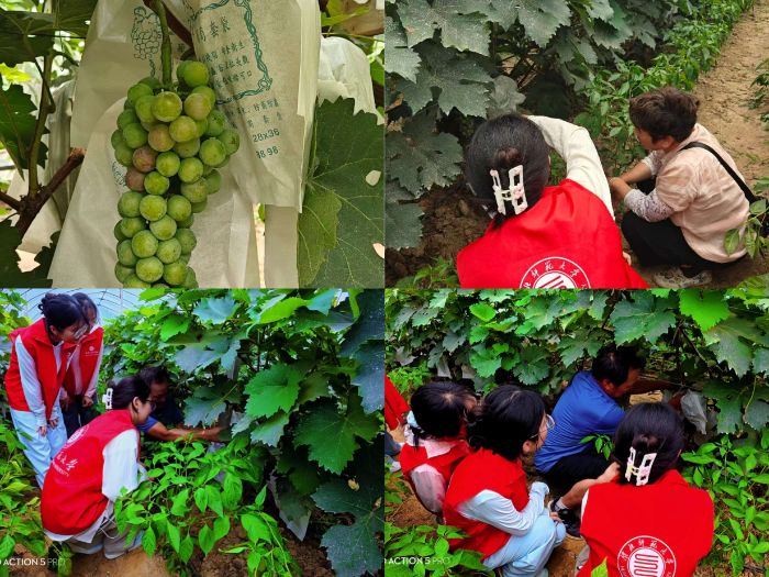 ����������W(xu��)�W(xu��)�Ӹ�ʒ�h��S�x������(m��ng)ǰ��