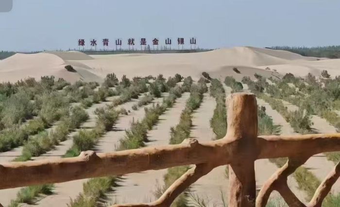 �ഺ����ɳ�����G�������ƌW�c���g�WԺ���������l(xi��ng)���`�F̽�����w�ᡰ���B(t��i)���������f(xi��)ͬ�l(f��)չ֮· ����ľ��Wо������ɳ�����G�����B(t��i)���\ ���B(t��i)���`�F