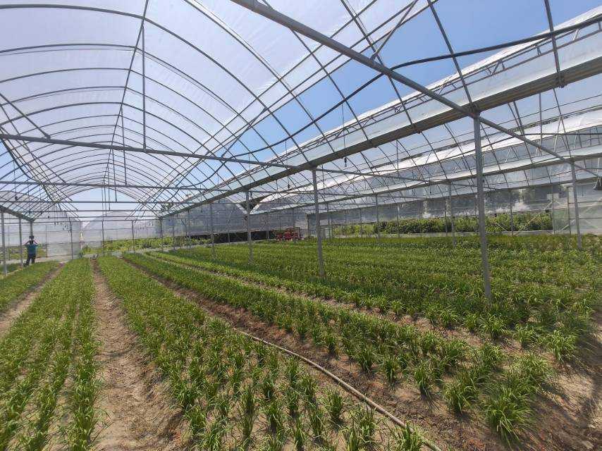 �������Z(y��)�c���d��