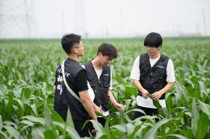 �Ƽ����S���`�F��ݷ�hʢ�ʹ��_չ���B(t��i)�O(ji��n)�y�����b�l(xi��ng)�����B(t��i)����