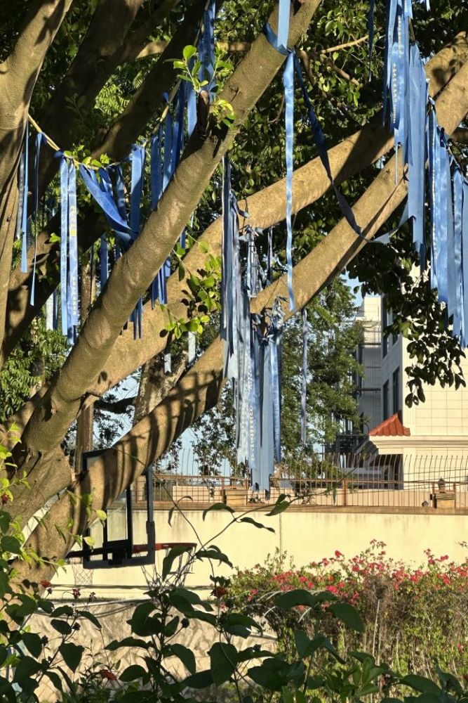 �c���ǡ�ͬ�У�׌��(��i)�o(w��)��