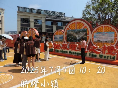 �Ⱦ͉��룺һ���l(xi��ng)�����d�ġ����w����������С�ȹ���(sh��)�`�(du��)̽��Ě�Ȯa(ch��n)�I(y��)�ںϰl(f��)չ�ĳɹ�ģʽ