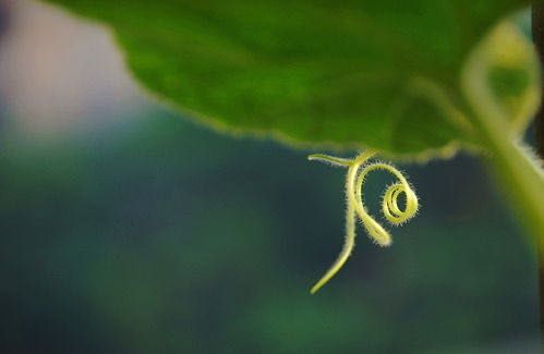 ��ӿƼ���W�����ƌW�c���g(sh��)�WԺ�e�k�� ��Ȼ����-�����ɻ�ӡ�֮�����ɡ���ƪ������Ȼ��ɺ��X��������(chu��ng)����Ʒ�������