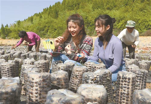 ��W(xu��)��ֱ������؛�������r(n��ng)�a(ch��n)Ʒ�N��