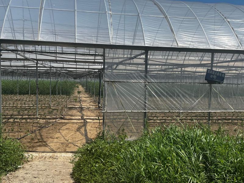 �ǻ��r(n��ng)�I(y��)�����l(xi��ng)�����d���߲˻����{(di��o)�мo(j��)��(sh��)