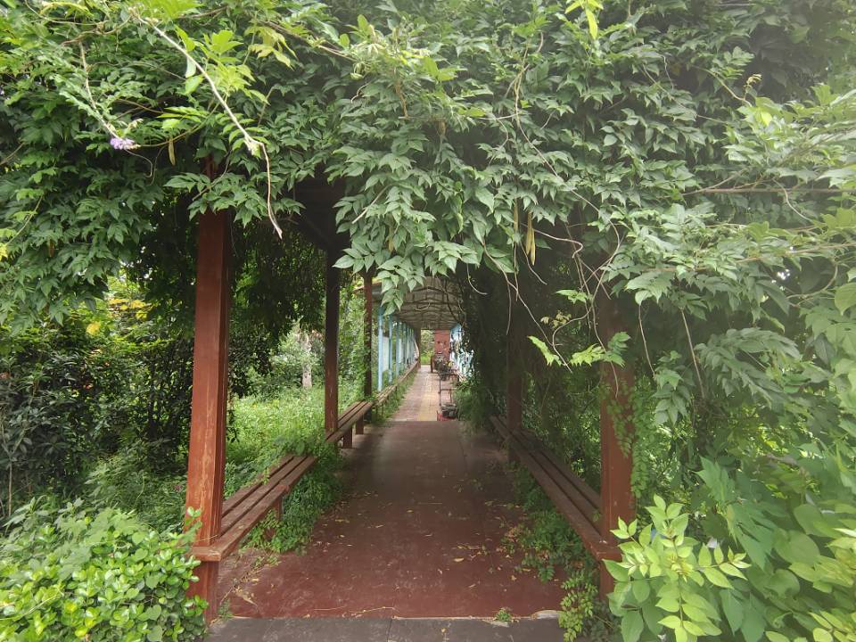 "�ഺ�ķ�I(xi��n)�������ͬ�W(xu��)����֧�̉�(m��ng)���c(di��n)ȼĸУ�|�����ތW(xu��)У�W(xu��)����"