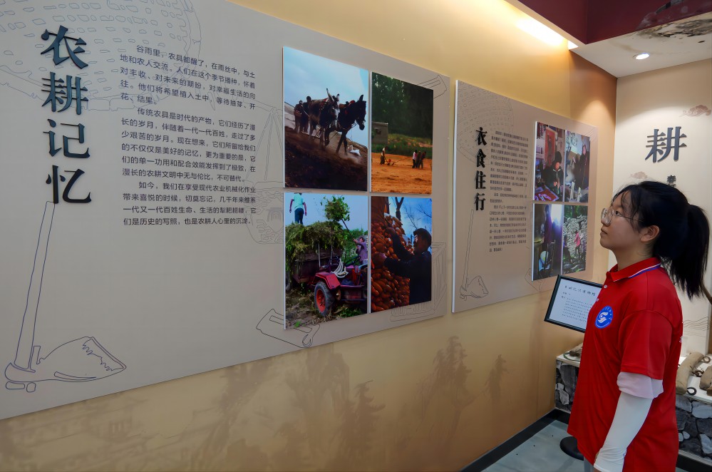 ���u�tɫѪ�}��������d��(l��)��         ����ɽ�|�Ƽ���W(xu��)���ʳ����岺�������l(xi��ng)��(sh��)�`