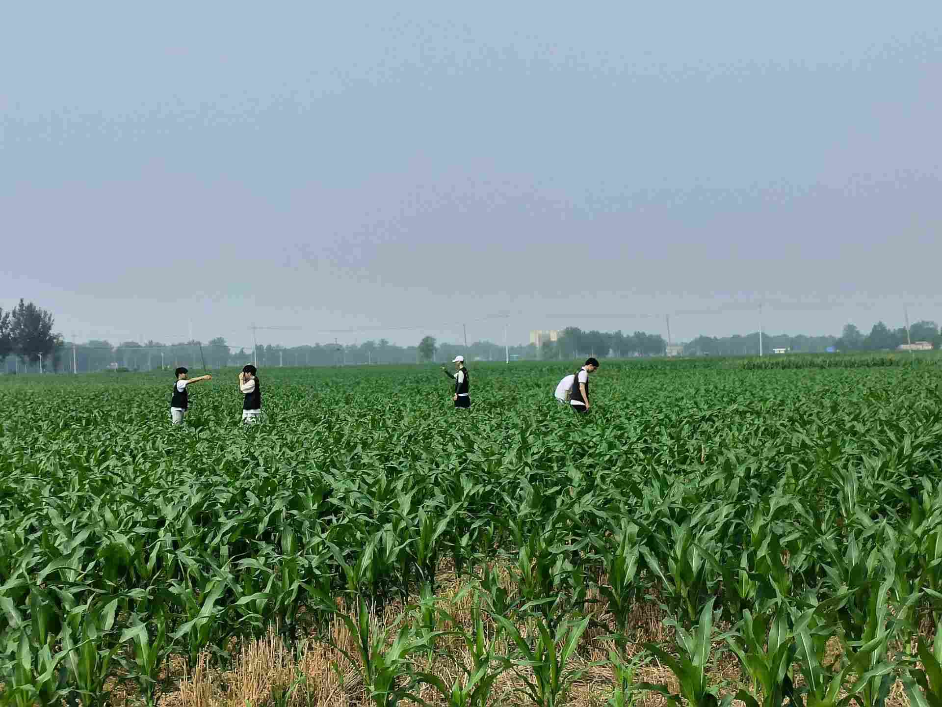 ��(chu��ng)�w�Ƽ���(sh��)�`�F(tu��n)����һ�´��_չ����Ѳ�z�{(di��o)��