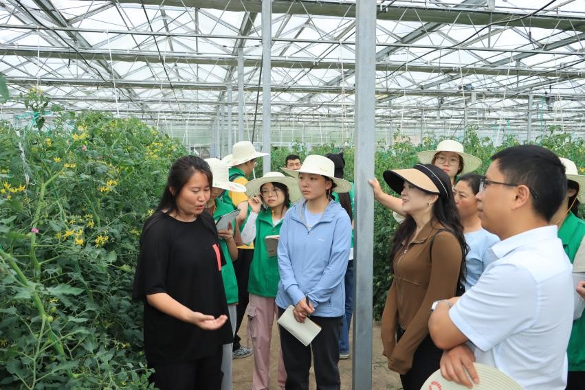 ���˷����B��·�������a�I(y��)�L��D