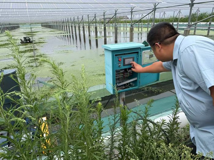 �Ͼ��֘I(y��)��WEco-eight���B(t��i)С����L���d��I(y��)̽������a(ch��n)�I(y��)�l(f��)չ