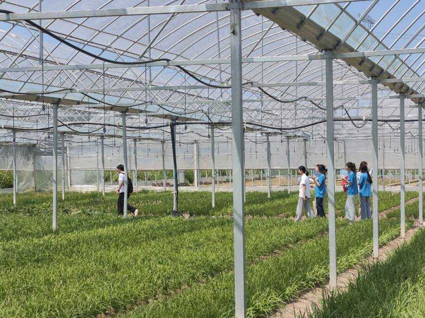 �����W(xu��)Ժ�{(di��o)�ЈF(tu��n)����ͬ���(zh��n) ̽���ǻ��r(n��ng)�I(y��)��·��