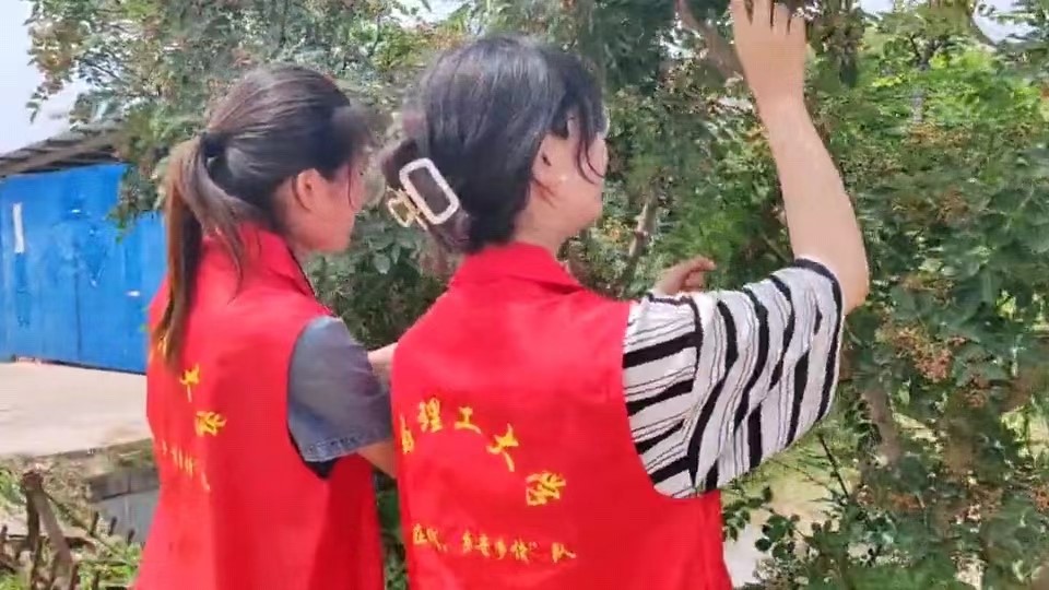 微信圖片_20240717002717