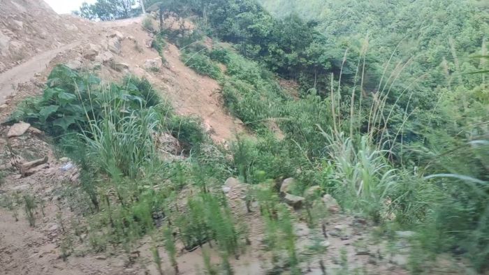 ����ɽ�l(xi��ng)ᄸ�·���۝��f���V��ƪ���������l(xi��ng)���`�̽�L�������B(y��ng)��a(ch��n)�I(y��)���d֮·