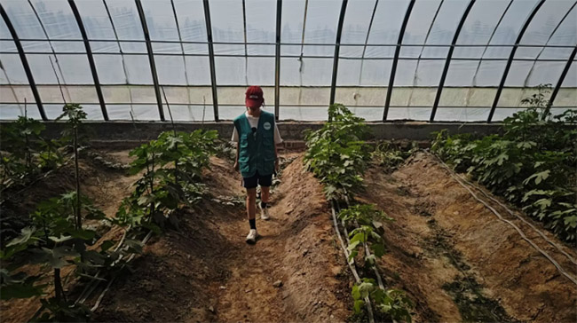 �ǻ��c��ˮ��������ӛ֧�����r(n��ng)���h�(du��)�����l(xi��ng)֮��