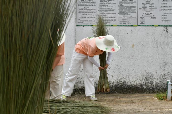 �����l(xi��ng)�g����ľ�c�ഺ�����L