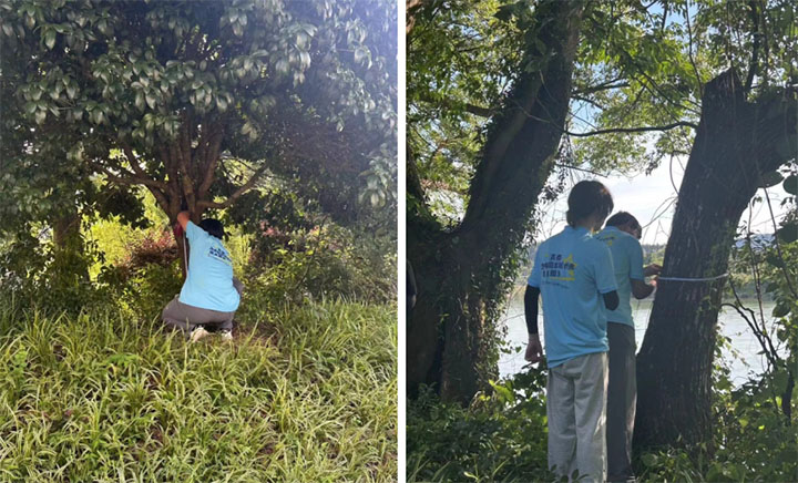 �㽭�r(n��ng)�ִ�W(xu��)��(sh��)�`�F(tu��n)����_չ�ӵ��{(di��o)����(d��ng)