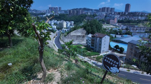 ��h�|���W(xu��)ԺС�ǹ��������(sh��)�`�(du��)̽��Ě��С�(zh��n)���Ƽ����I(l��ng)��Ě���h�����l(xi��ng)�����d·����