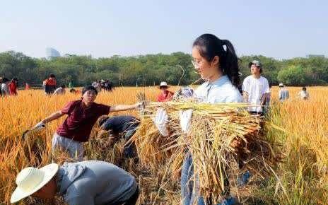 ��h��W(xu��)�����M���g���r(n��ng)���w��r(n��ng)������