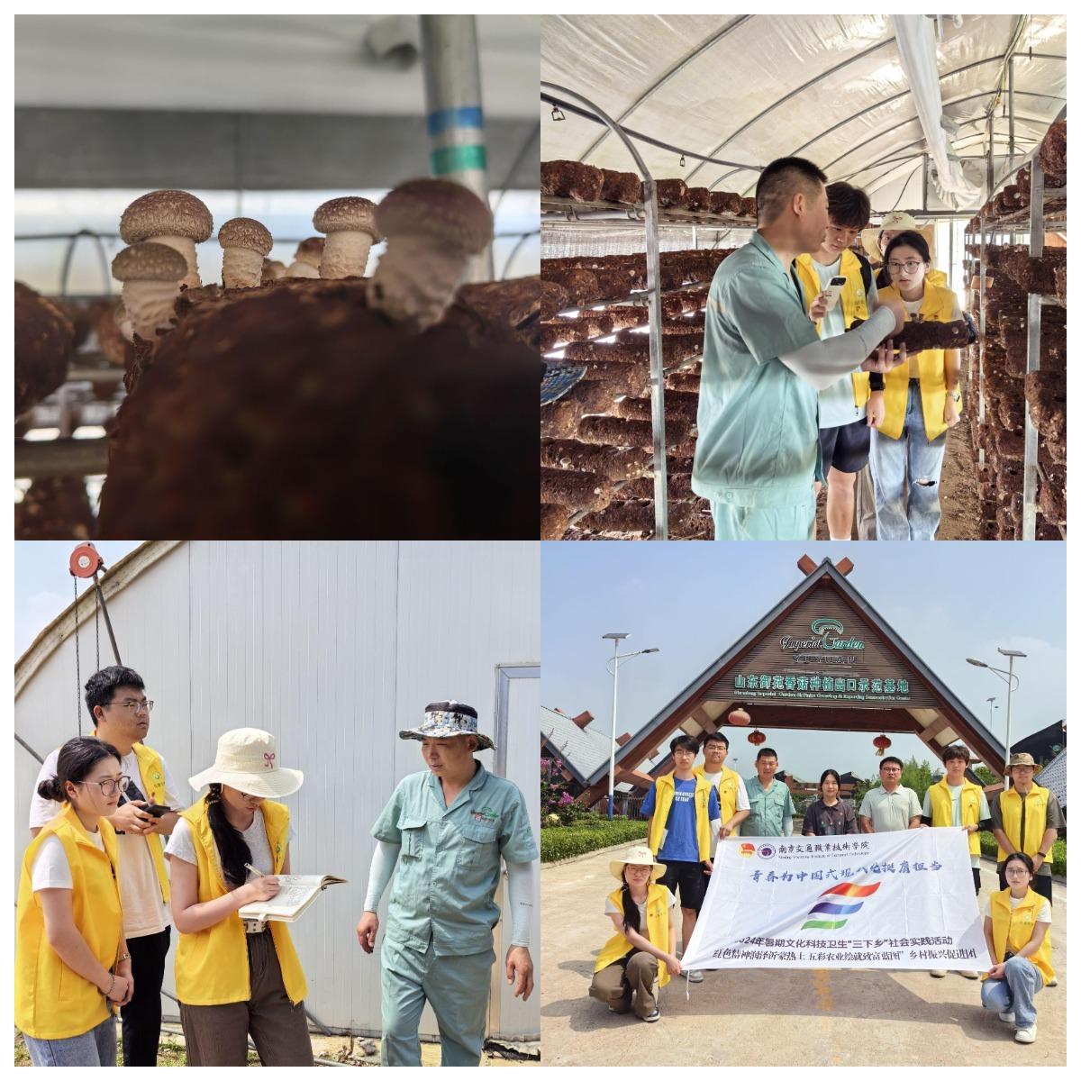 �Ͻ��W(xu��)�ӣ����M(j��n)Ģ������