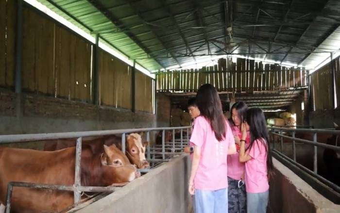 ꃹ��� ��朄Ӱ��������Q(m��o)���������`�F̽����ɽ����Sţ�B(y��ng)ֳ�ǻ�