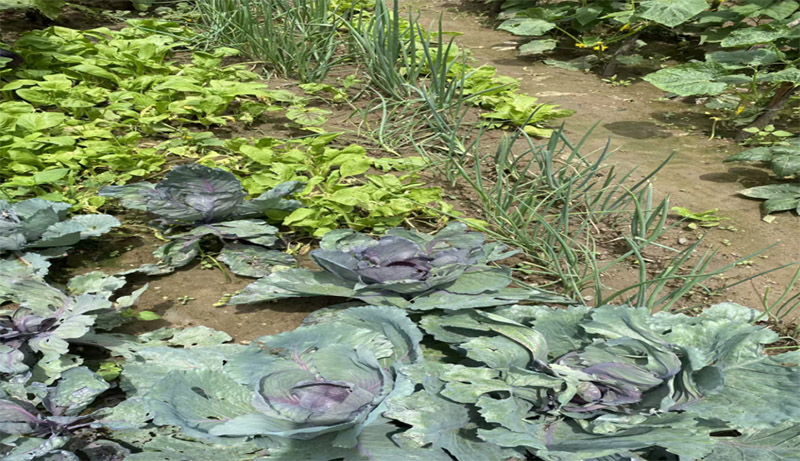 �Z�����h(yu��n)�`���� �ڄ��x�������d ��������W(xu��)��Ͷ���l(xi��ng)��a(ch��n)�I(y��)�ڄӌ�(sh��)�`