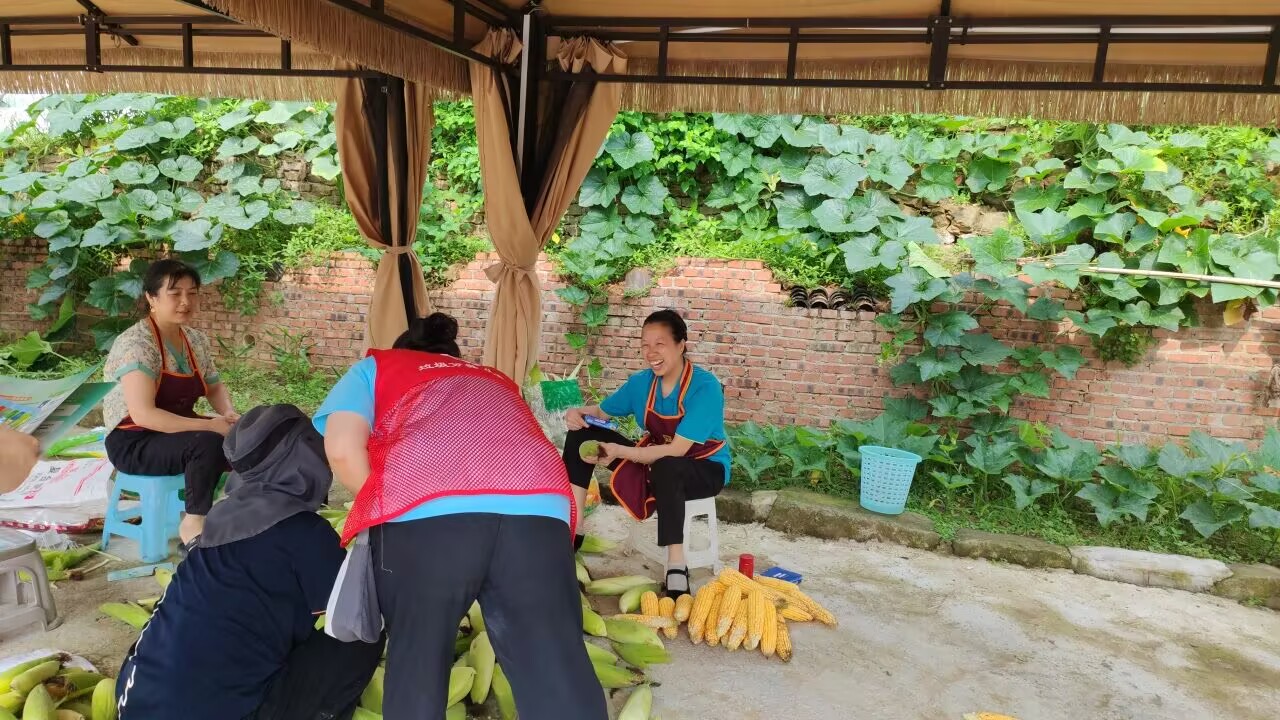 �A (t��ng)�y�g�������ؑc������W(xu��)��(j��ng)��(j��)�c����W(xu��)Ժ־Ը����(w��)�(du��)���뽨�´��{(di��o)�����������(sh��)�r